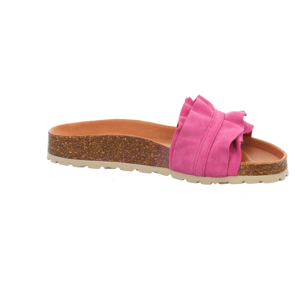 Verbenas | 330062V-0220-0999
