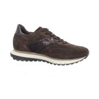 Gabor | 6029.02.002
