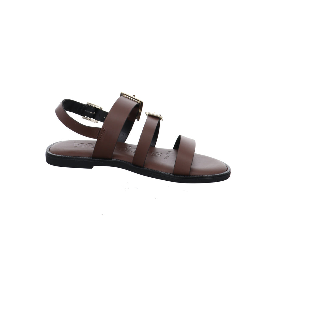 Wonders | AB-1340-TESTA