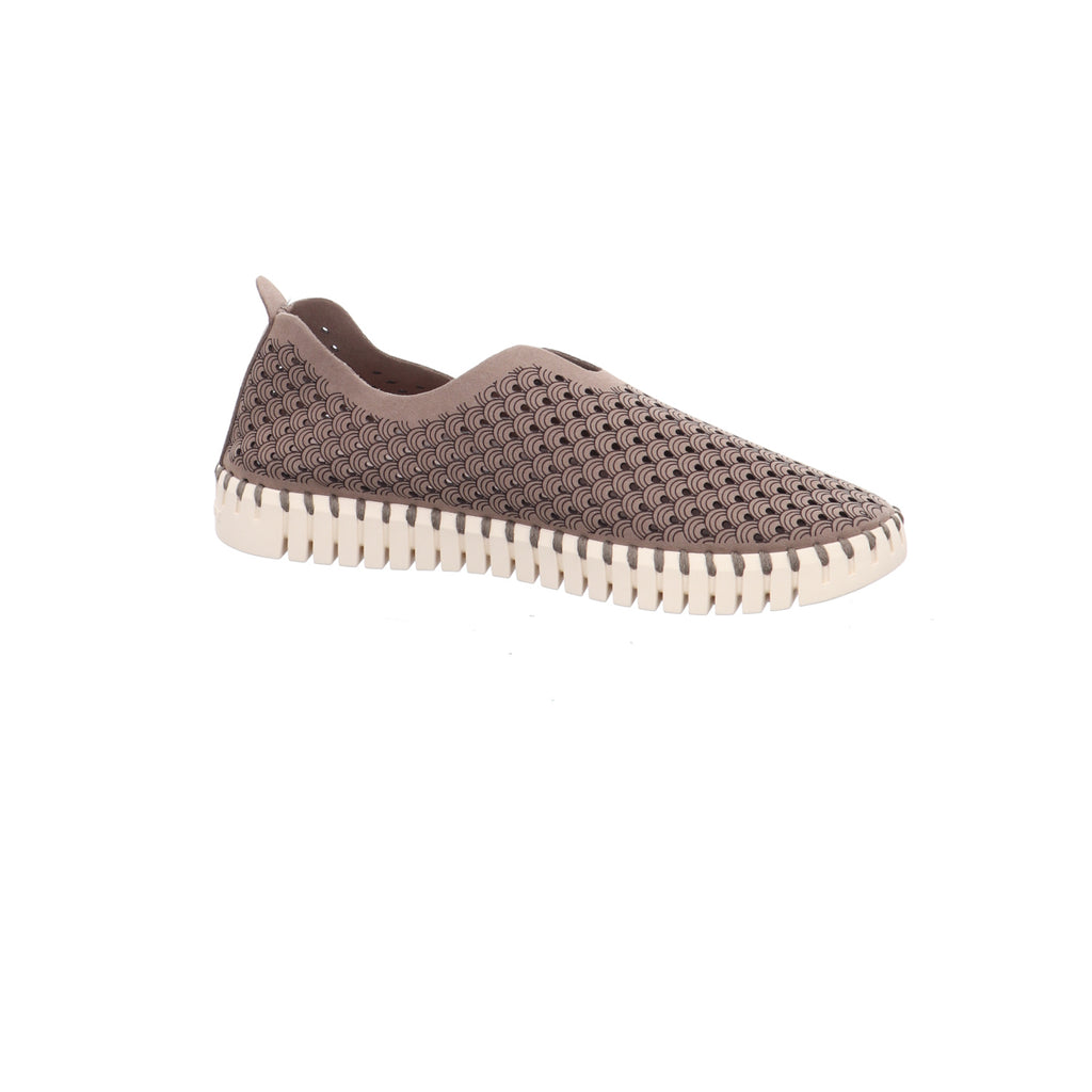 Ilse Jacobsen I TULIP3275-Falcon