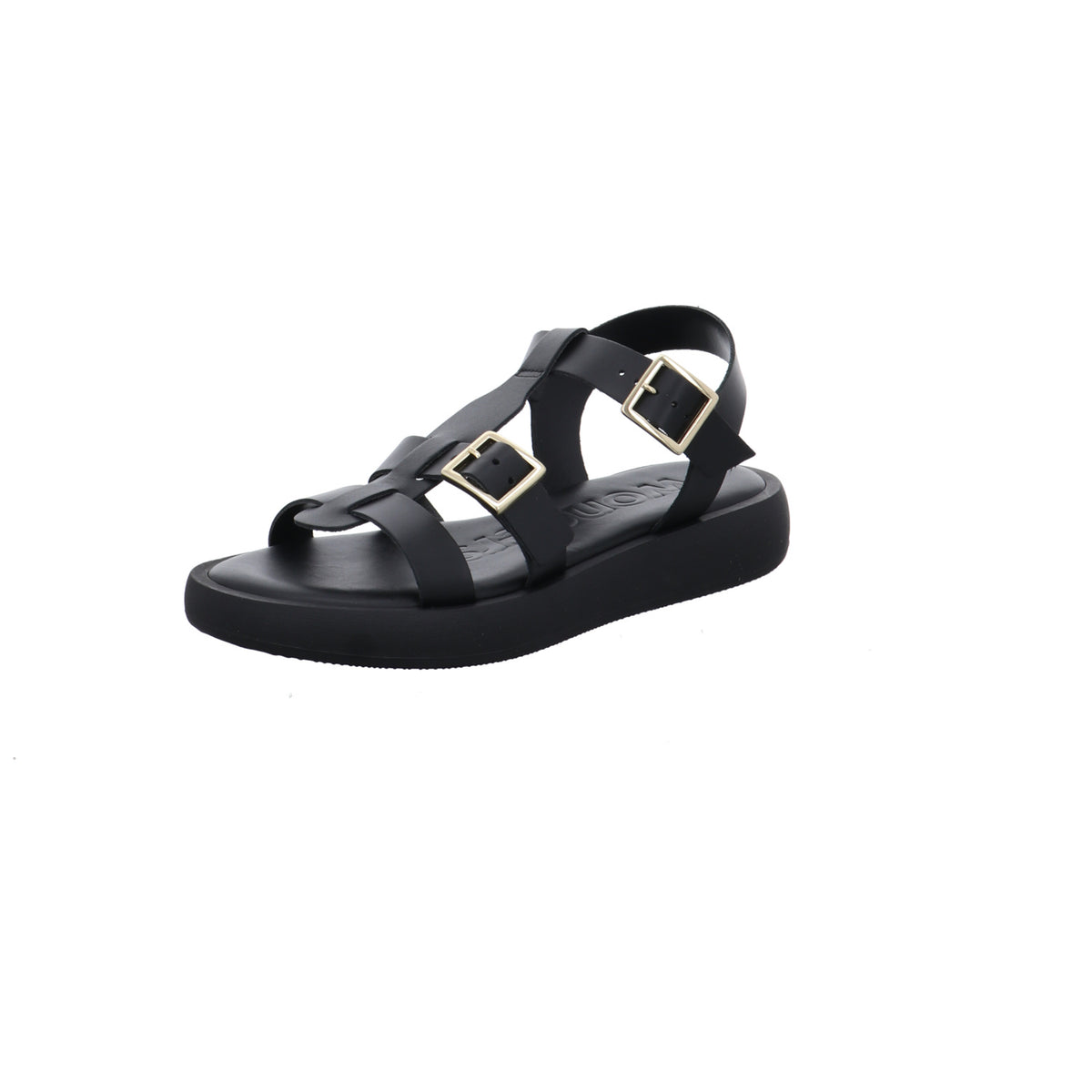 Wonders | AB-1012-NEGRO