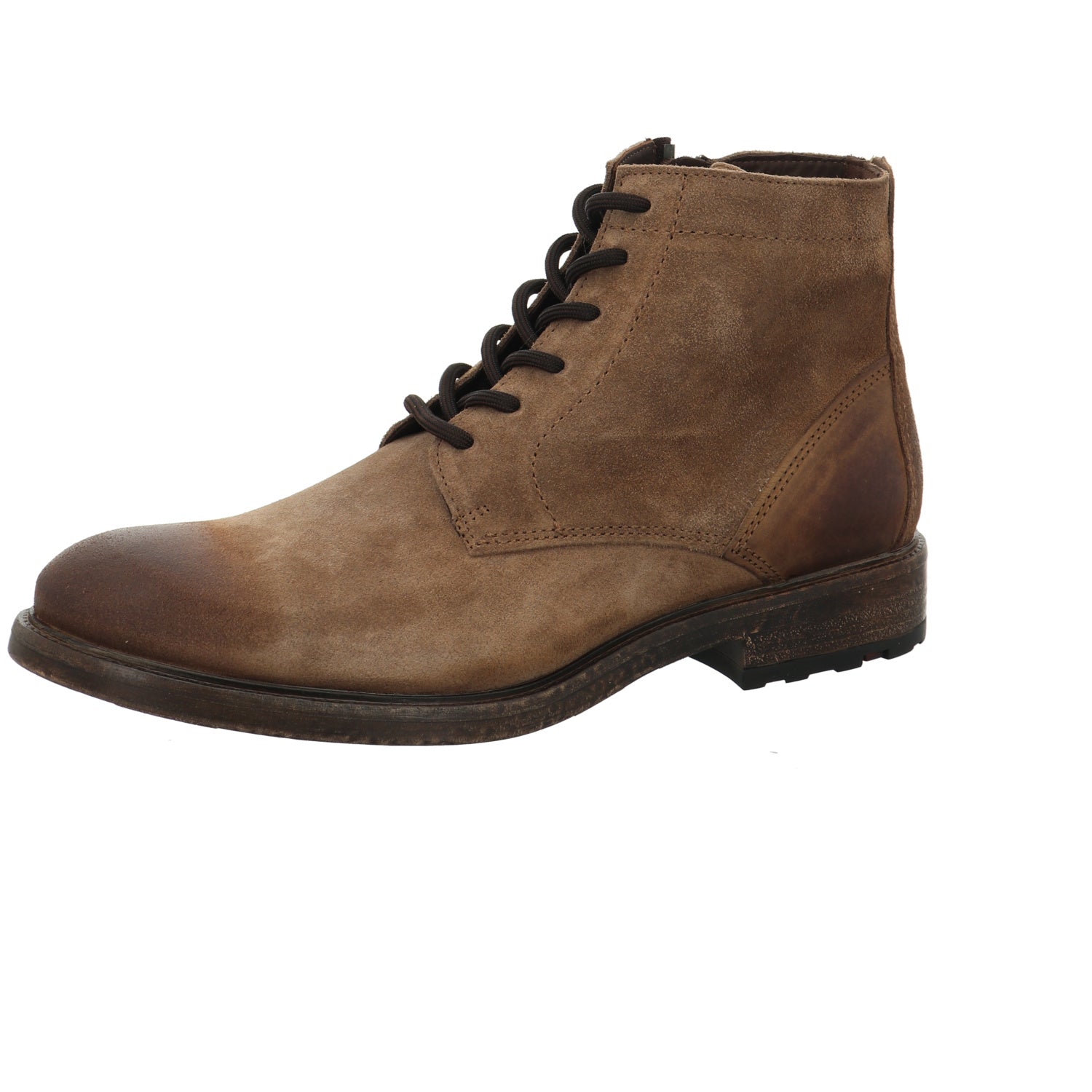 Lloyd | 2257631