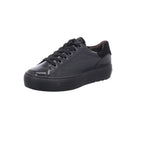 Paul Green | 5320-096