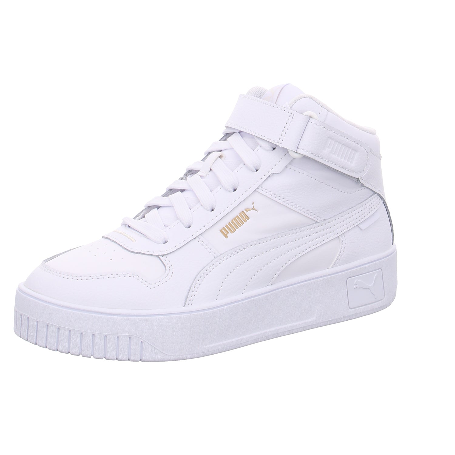 Puma |