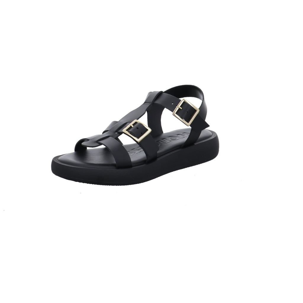 Wonders | AB-1012-NEGRO