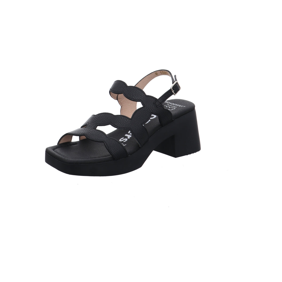 Wonders | D-1020-NEGRO