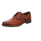 Lloyd | 2550205