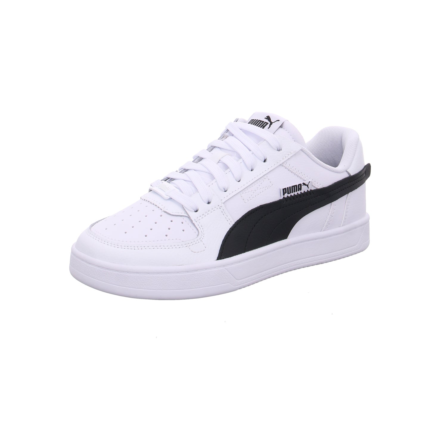 Puma |