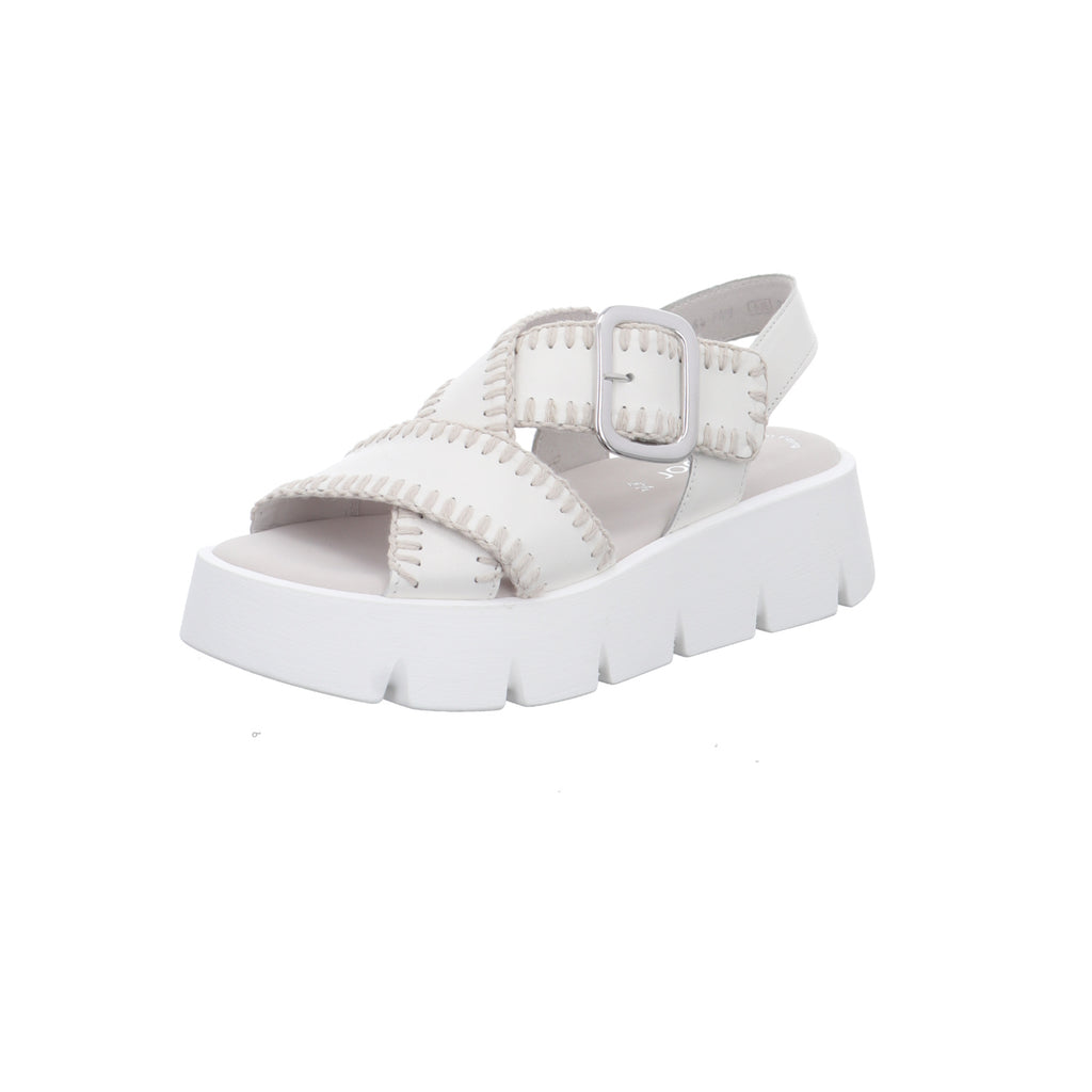 Gabor | 84.751.20