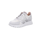 Wonders | A-2464-BLANCO