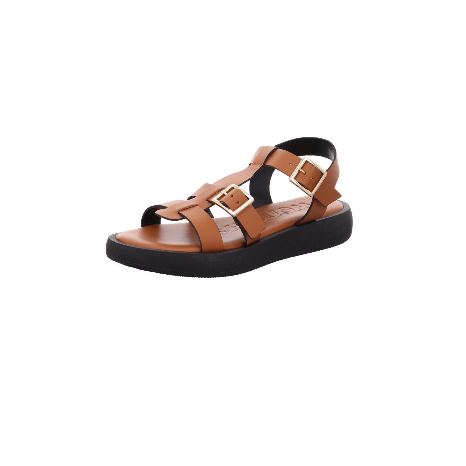 Wonders | AB-1012-CUERO