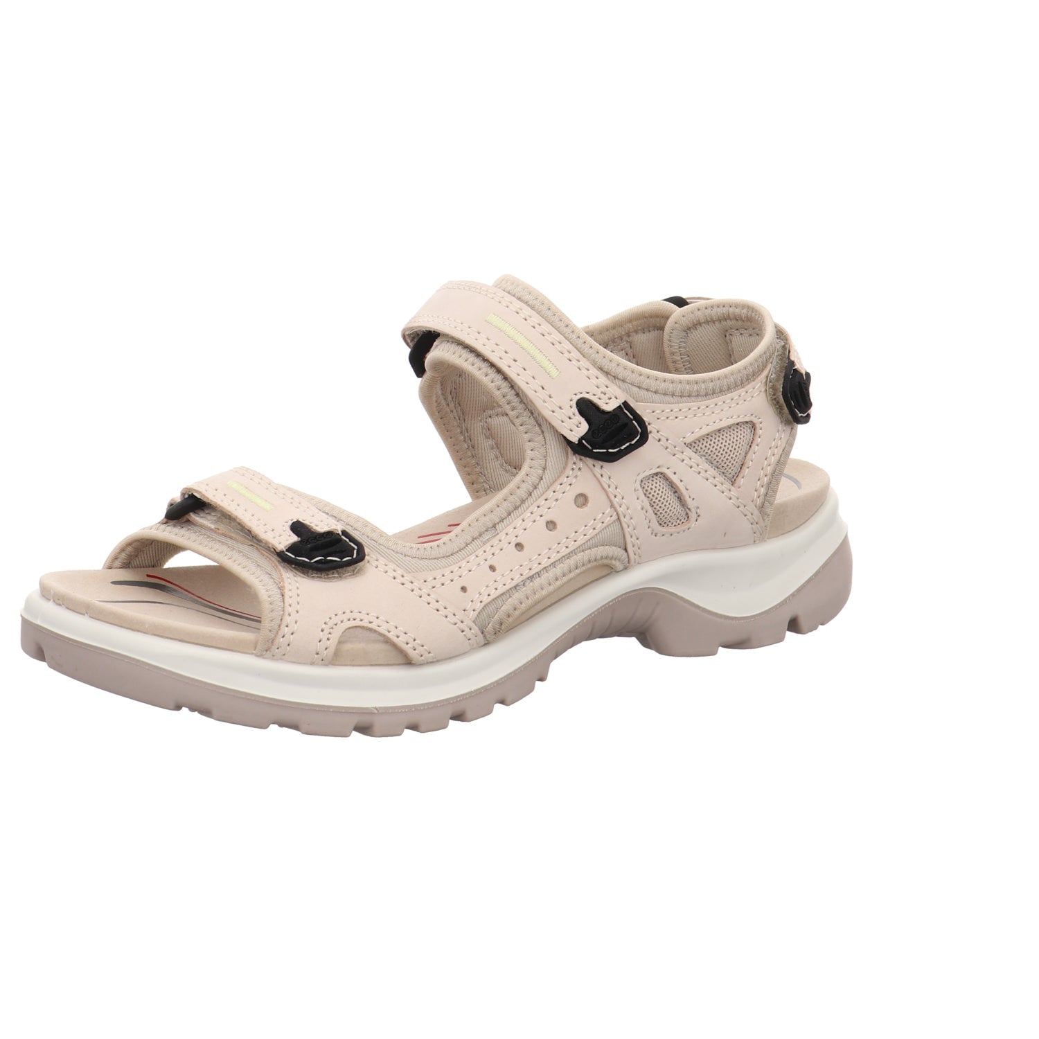 Ecco | 069563-01378