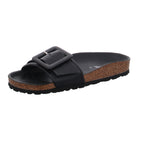 Verbenas | 330402V-0014-0042