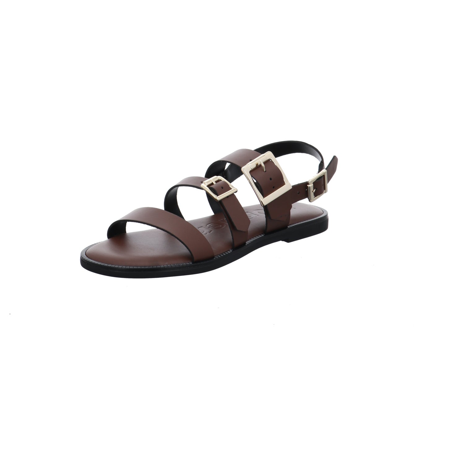 Wonders | AB-1340-TESTA