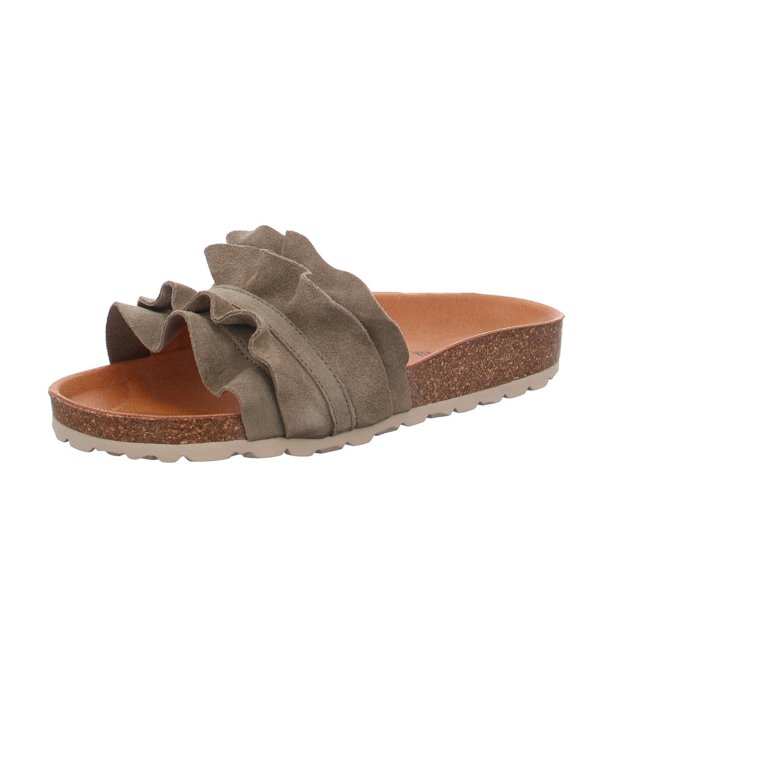 Verbenas | 330062V-0220-0915