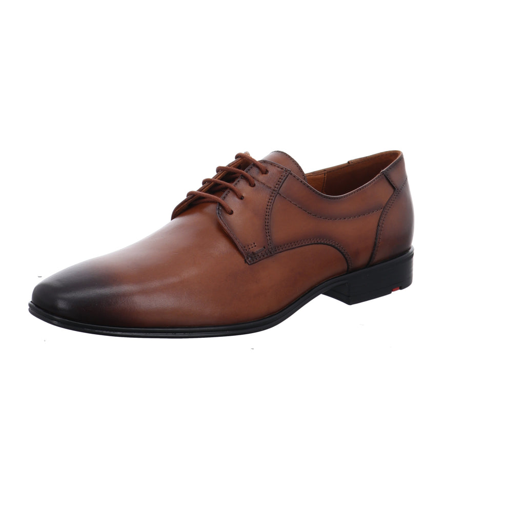 Lloyd | 2550503