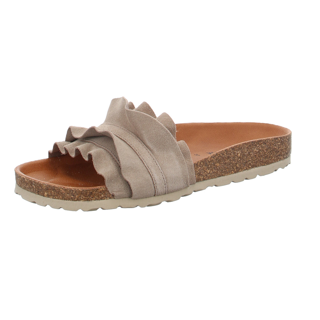 Verbenas | 330062V-0220-746