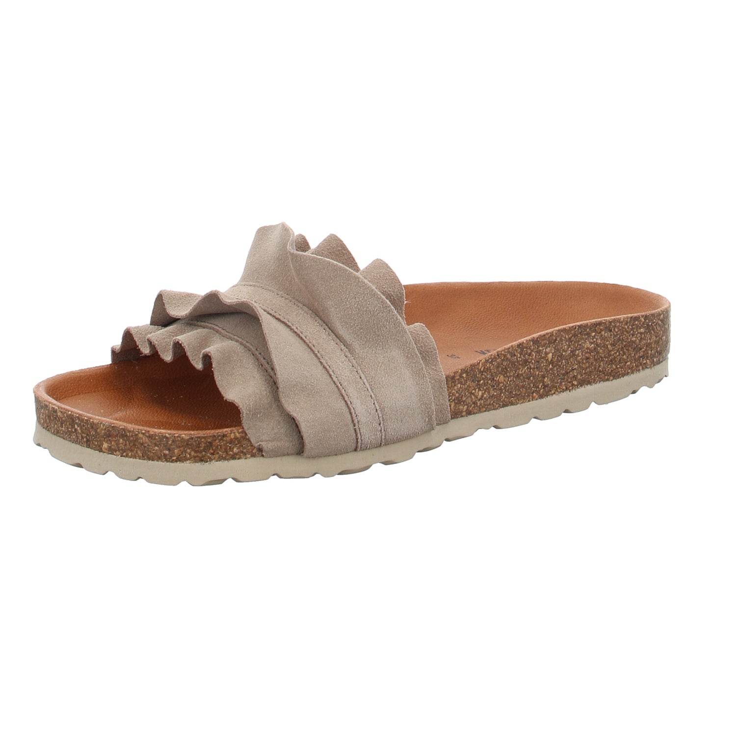 Verbenas | 330062V-0220-746