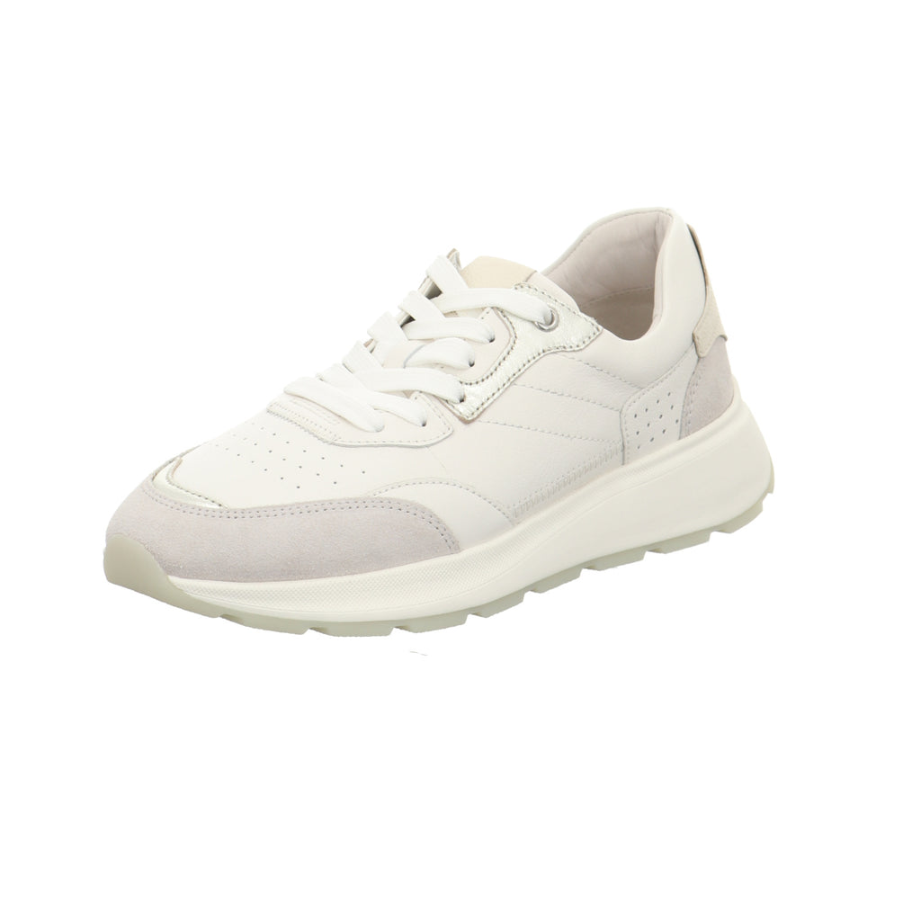 Gabor | 83.484.11