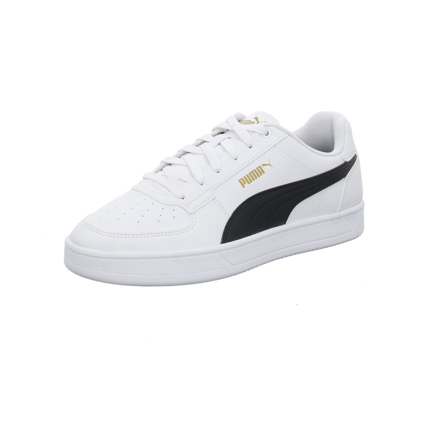 Puma |