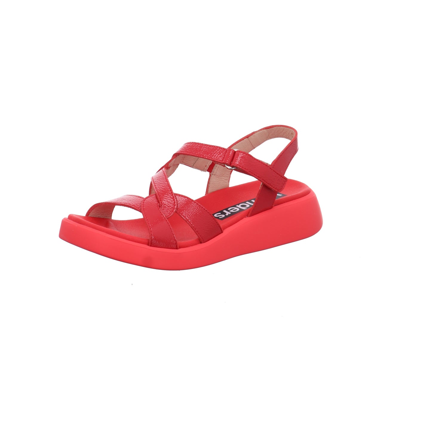 Wonders | C-6541-ROJO