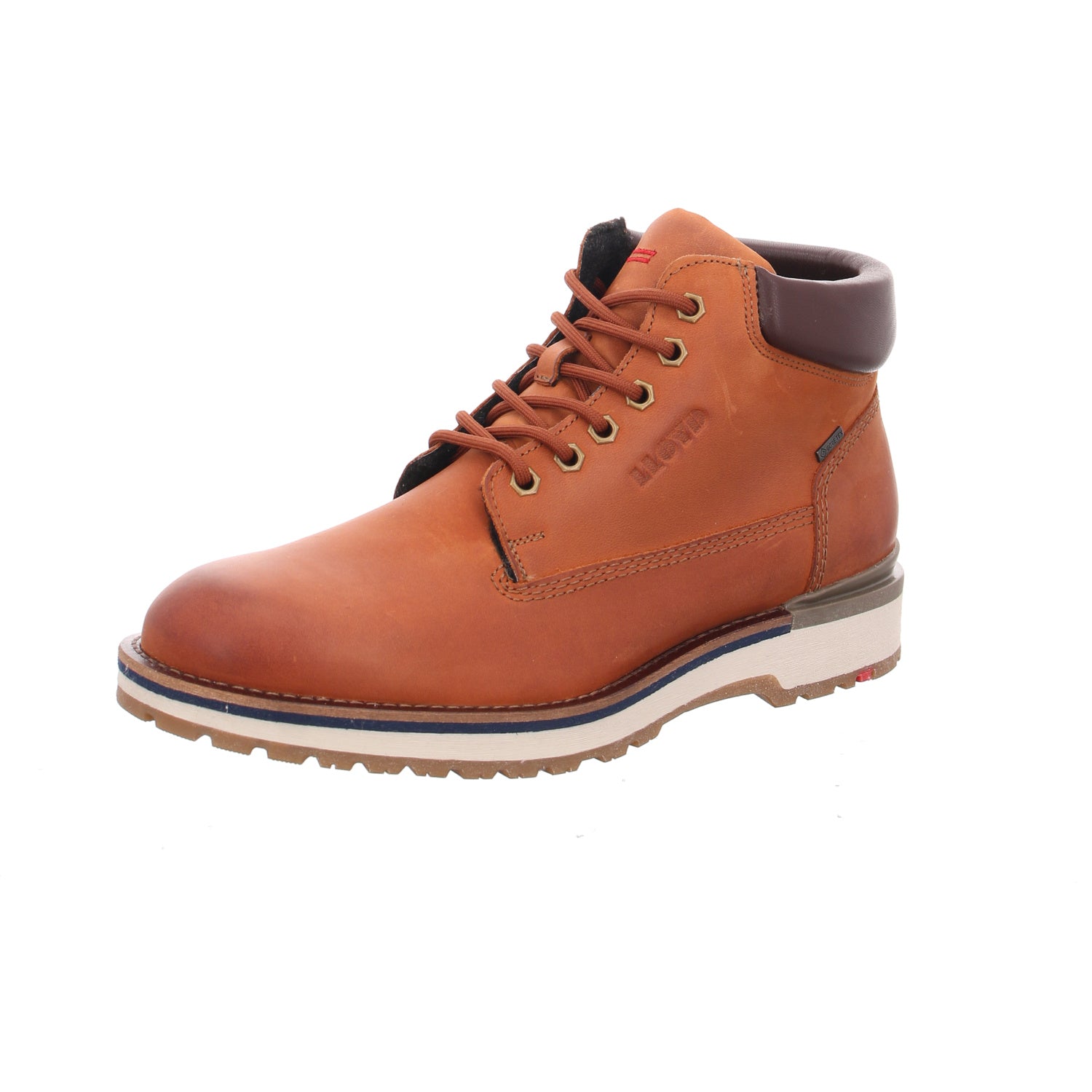 Lloyd | 2451513