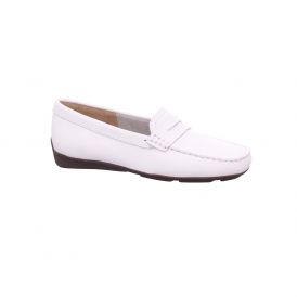 Wirth Slipper/Albany