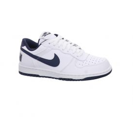 BIG NIKE LOW