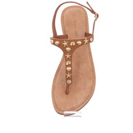 Coastal Star - Cognac