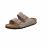 Arizona SFB