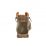Cetti