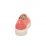 AGL Sneaker