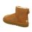 Ugg - Classic Mini