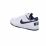 BIG NIKE LOW