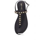 Coastal Star - Black Topper